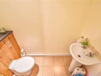 Picture 14